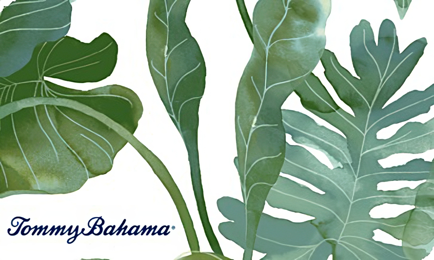Tommy Bahama Gift Card